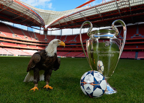 瑞天空：热刺、利物浦与扬-迪奥曼德的团队展开深度接触